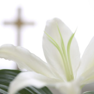 04 Mar 2004 --- White Flower near Christian Cross --- Image by © Royalty-Free/Corbis