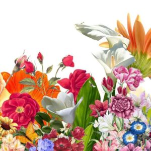 Flower-Backgrounds