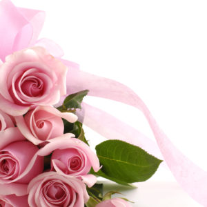 pink_roses_wallpaper_background_24172