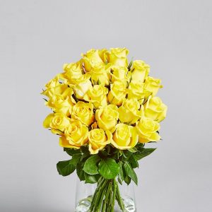 Saf_Rose_Yellow_N1