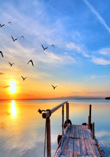 HD-wallpaper-beautiful-sunset-birds-clouds-nature-sea-sky-sun