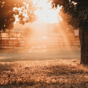 pexels-photo-7166175